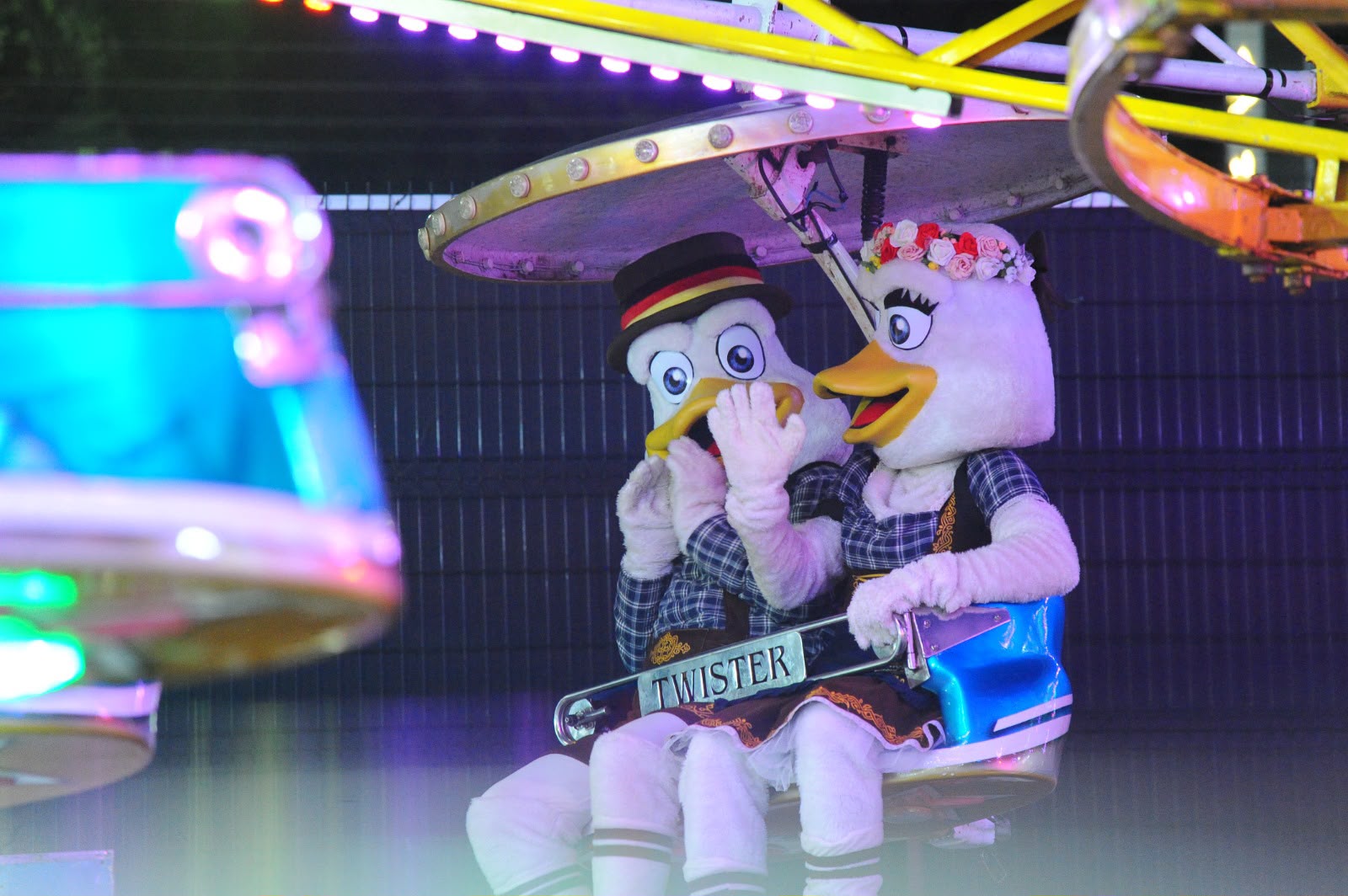 Parque de diversões garante adrenalina na dose certa para os fenafesteiros